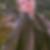 Photo de profil de Mireille Guillaume