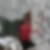 Photo de profil de Laurence Tissot