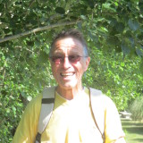 Photo de profil de André Dugué