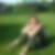 Photo de profil de Martreux Isabelle