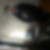 Photo de profil de Garry Dehays