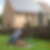 Photo de profil de Richard Bailly