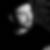 Photo de profil de David Dany