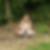 Photo de profil de France Pitet