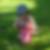 Photo de profil de Karine Le Biller