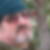 Photo de profil de Lucien Reiser