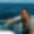 Photo de profil de Yannick Fer