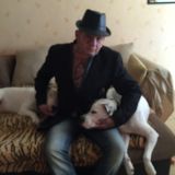 Photo de profil de Renald Ljubanovic
