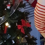 Photo de profil de Nadine Pruvost