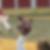 Photo de profil de Marc Faucon