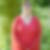 Photo de profil de Catherine Lacombe
