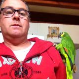 Photo de profil de Didier Constantin