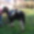 Photo de profil de Yannick Julien