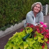 Photo de profil de Laurence Cartier
