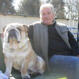 Photo de profil de Gerard Beguinot