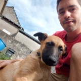 Photo de profil de Julien Bonneau