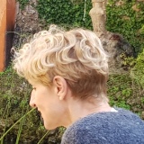Photo de profil de Sylvie Perey