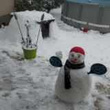 Photo de profil de Guillaume Martins