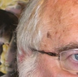 Photo de profil de Stephane Buissart