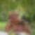 Photo de profil de Nicole Noize