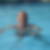Photo de profil de Jean-Louis Houques