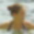 Photo de profil de Amelie Debernard