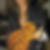Photo de profil de Cedric Marec