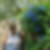 Photo de profil de Lydie Blanchard