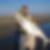 Photo de profil de Olivier Ortoli