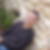 Photo de profil de Benjamin Jourdan