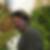 Photo de profil de Cedric Marion