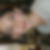 Photo de profil de Oriane Le Coat