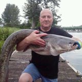 Photo de profil de Didier Sabbe