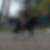 Photo de profil de Delphine Josse