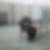 Photo de profil de Guy Massieux