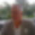 Photo de profil de Michel Massabo