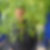 Photo de profil de Dany Paolino