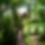 Photo de profil de Patrick Tolassy