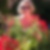 Photo de profil de Veronique Mauvieux