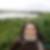 Photo de profil de Fanny Ricros