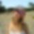 Photo de profil de Claire David