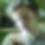 Photo de profil de Florian Gonon