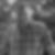 Photo de profil de Georges Tritter