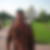 Photo de profil de Josian Vache