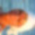 Photo de profil de Chrystelle Crouzet