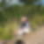 Photo de profil de Stephane Singlis