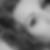 Photo de profil de Betty Reichhard