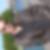 Photo de profil de Dominique Petit