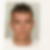 Photo de profil de Fabien Cottineau