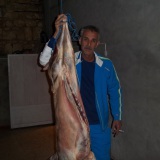 Photo de profil de Ahmed Sidi Abed